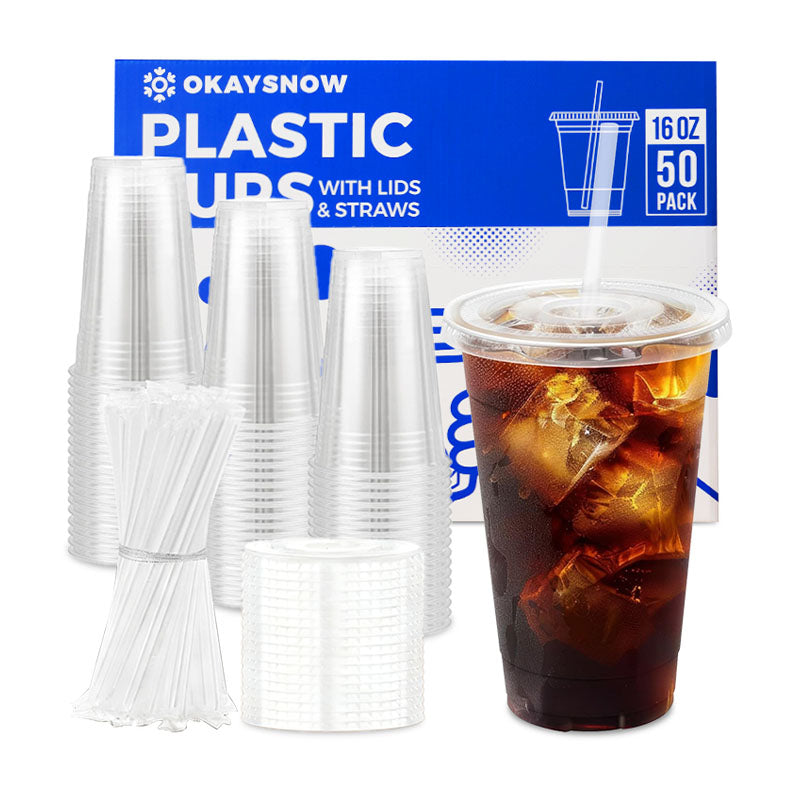 16oz Clear Disposable Cups with Lids and Straws
