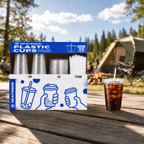 20oz Clear Disposable Cups with Lids and Straws