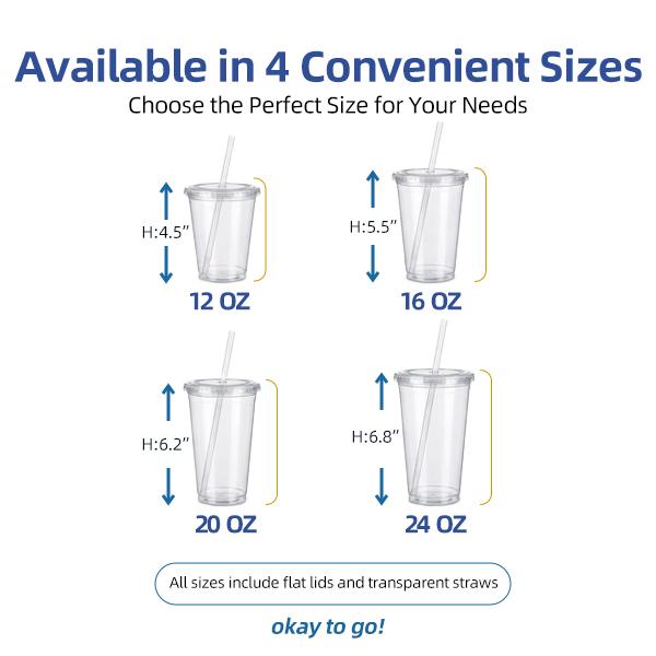12oz Clear Disposable Cups with Lids and Straws