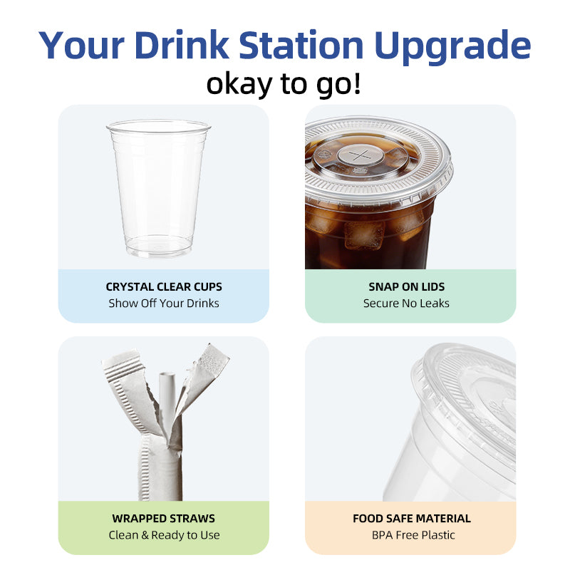 12oz Clear Disposable Cups with Lids and Straws